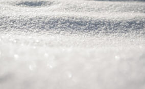 Дождь со снегом ожидаются во Всеволожске в пятницу