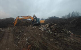 В Колтушском поселении у мужчины изъяли экскаватор за сброс мусора