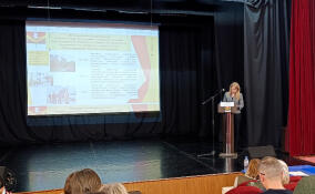 Состоялось обсуждение бюджета Заневского поселения на ближайшие три года