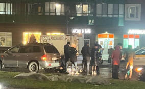 Легковушка сбила человека в Мурино