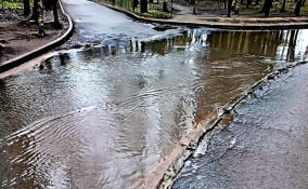 Жители Сертолово пожаловались на затопленную дорогу
