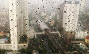 Во Всеволожске потеплеет до +5 градусов