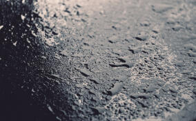 Во Всеволожске ожидается дождь со снегом в четверг