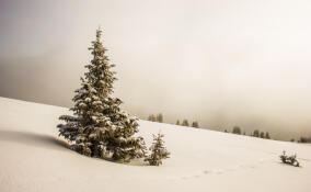 Во Всеволожске похолодает 12 декабря