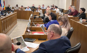 Депутаты обсудили приоритеты развития Заневского поселения