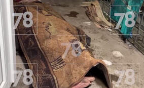 Женщина погибла при пожаре в Мурино