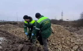 Инспекторы проверили водоохранную зону у реки Утка