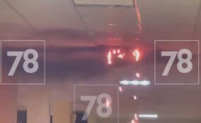 «А это точно нормально?»:в муринской школе засняли «огненный дождь»