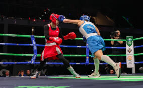 Многодетная мама из Щеглово стала бронзовым призером Чемпионата России по боксу