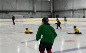 Во Всеволожске состоится турнир по хоккею с мячом