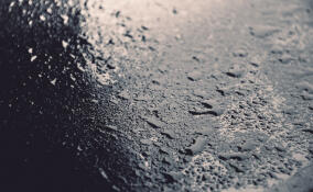 Во Всеволожске потеплеет до +4 градусов 18 декабря