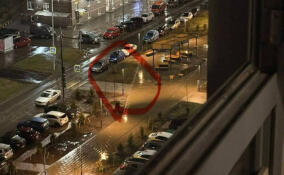 Жители Мурино пожаловались на фонарь, бьющий током