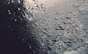 Во Всеволожске потеплеет до +5 градусов