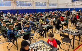 Заневские шахматисты добились успеха на «Кубке Деда Мороза»