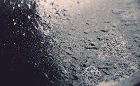 Во Всеволожске ожидается дождь 20 декабря