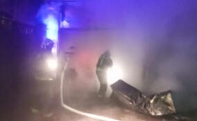 В Буграх загорелась иномарка