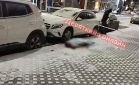 Тело девушки с разбитой головой обнаружили в Мурино