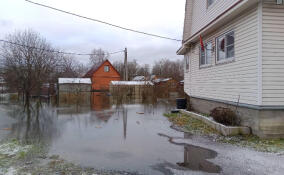 В поселке Красная Заря подтопило частные участки