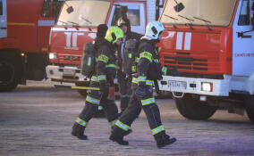 Пожарные спасли двух детей во Всеволожске