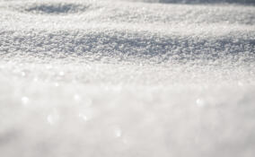 Во Всеволожске похолодает до -9 градусов