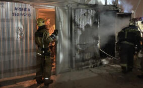 В Янино-1 сгорела металлическая бытовка