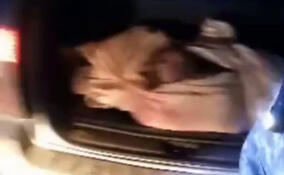 Егери остановили задержали людей за незаконную охоту на лося