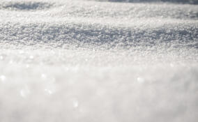 Во Всеволожске потеплеет 24 декабря