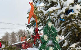 В Юкках украсили новогоднюю елку