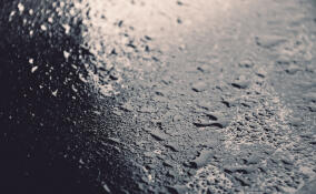 Во Всеволожске потеплеет до +5 градусов