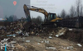 В Заневском поселении зафиксировали незаконный сброс мусора