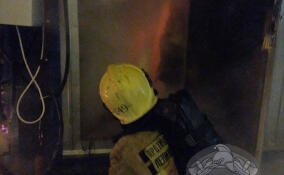 Два строительных вагончика сгорели в Янино-2