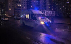 Девочка из Мурино потеряла почти литр крови из-за пирсинга