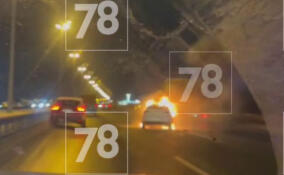 Легковушка загорелась на КАД возле Мурино