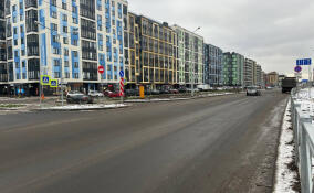 Завершен второй этап реконструкции участка Голландской улицы в Янино‑1