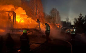 В жилом доме в Разметелево вспыхнула квартира