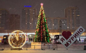 Активно и весело: как встретить Новый год в Мурино