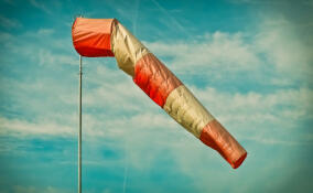 Желтый уровень погодной опасности объявлен во Всеволожском районе