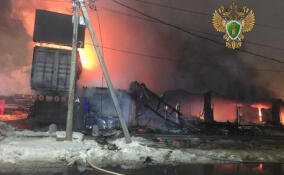 Огонь уничтожил шашлычную в Кудрово