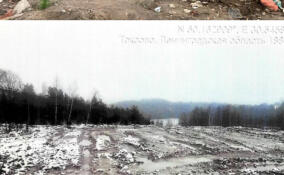 В Токсово ликвидировали незаконную свалку