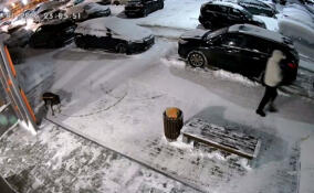 Мужчина привязал собаку на морозе в Мурино