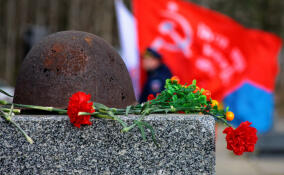Памятник участникам СВО в Сертолово откроют ко Дню Победы