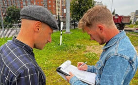 В парке «Оккервиль» высадили почти 6 тыс. кустарников