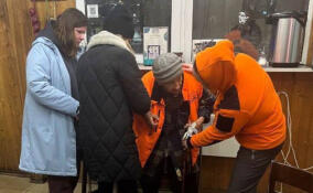 Волонтеры «ЛизаАлерт» помогли двум пожилым жителям Мурино