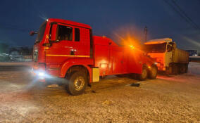 В Разметелево пресекли незаконный сброс отходов