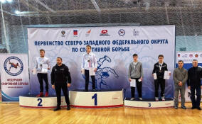 Двое борцов из Кузьмоловского завоевали медали на Первенстве СЗФО