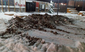 Неизвестные испортили общественное пространство в Кудрово