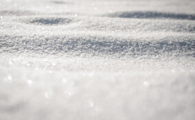 Во Всеволожске в среду похолодает до -14 градусов