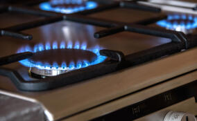 Газ провели почти в 200 квартир в Мурино