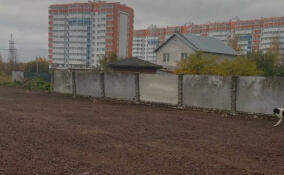 Из Заневского поселения увезли отходы, загрязнявшие почву