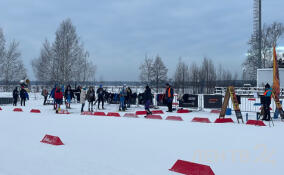 Сотни лыжников прибыли на соревнования в центр «Кавголово»